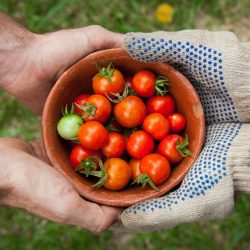 loi egalim alimentation